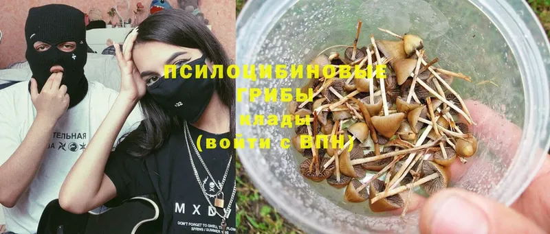 дарк нет клад  Североуральск  Галлюциногенные грибы Magic Shrooms  blacksprut зеркало 