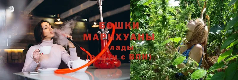 где купить наркотик  Североуральск  Шишки марихуана Ganja 